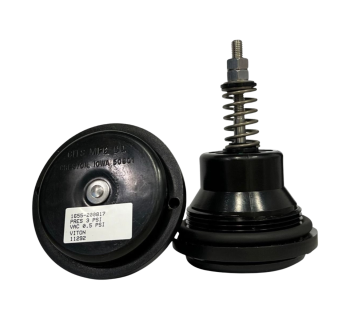 2" GITS NPS Polyethylene Low Profile Vent  VENT_1655817 - Tank Management